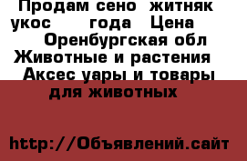 Продам сено, житняк, укос 2017 года › Цена ­ 250 - Оренбургская обл. Животные и растения » Аксесcуары и товары для животных   